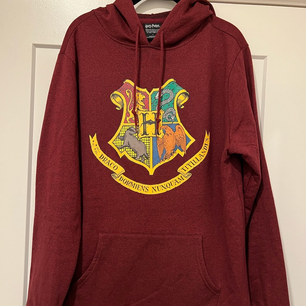 Harry Potter Hogwarts hoodie